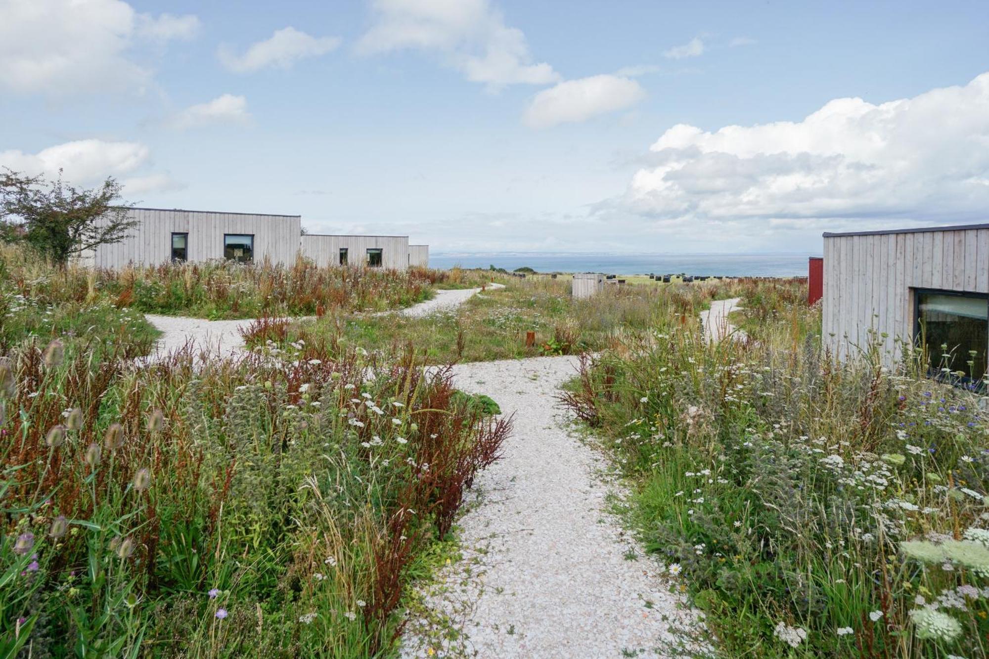 Rustic Cabins, Sea Views From Rewilded Farm With Highland Cows St. Andrews Exterior photo