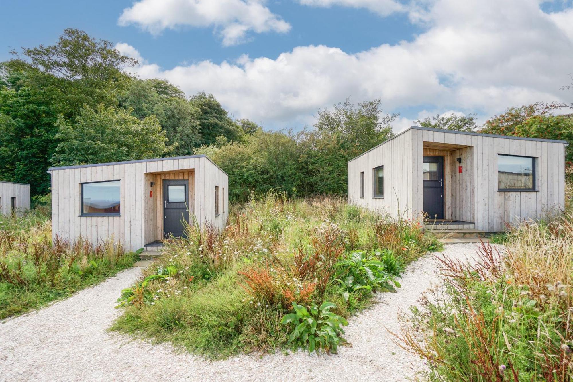 Rustic Cabins, Sea Views From Rewilded Farm With Highland Cows St. Andrews Exterior photo